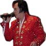 DetroitElvis